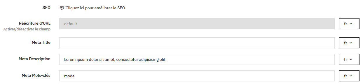 Champs SEO d'une catégorie